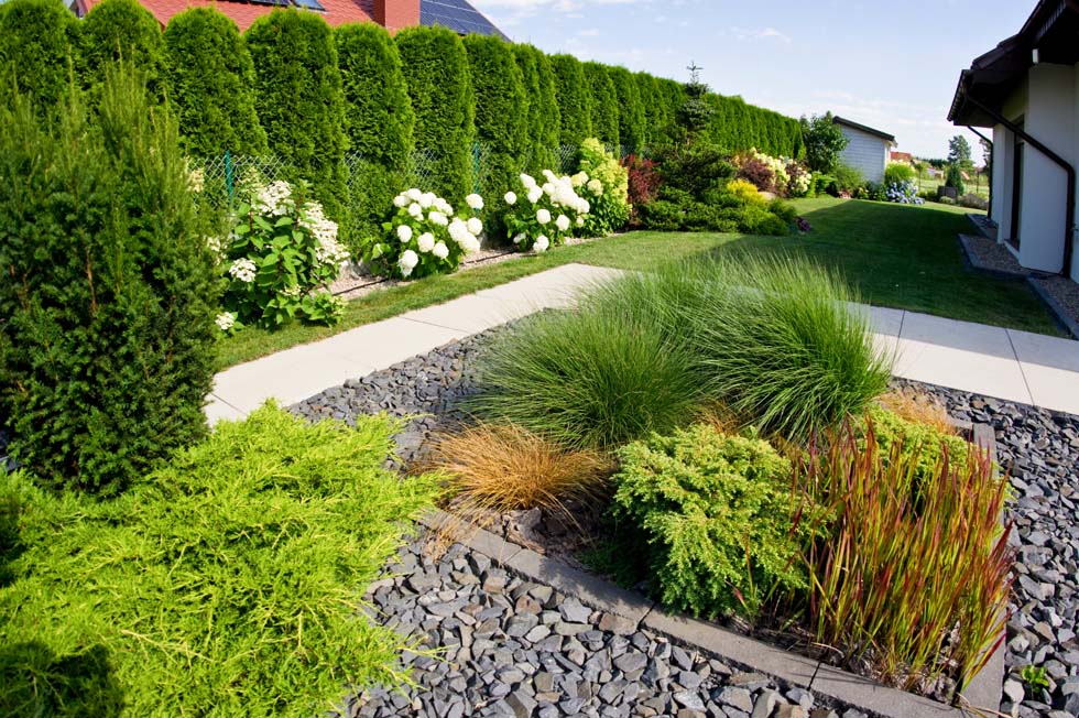 jardin avec haie et massif fleuri