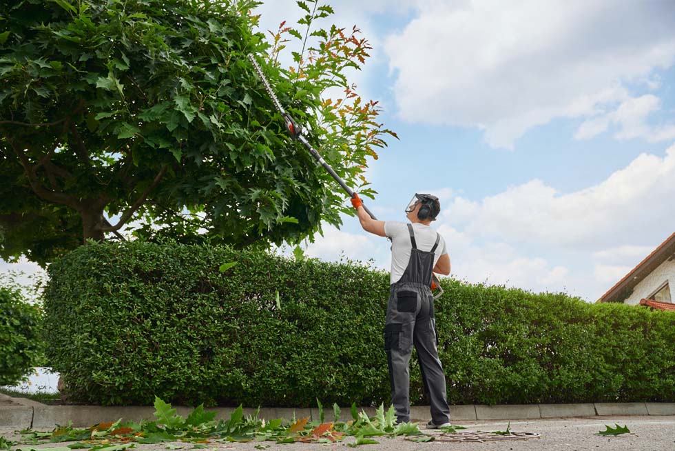 élagage léger pour l'esthétisme du jardin