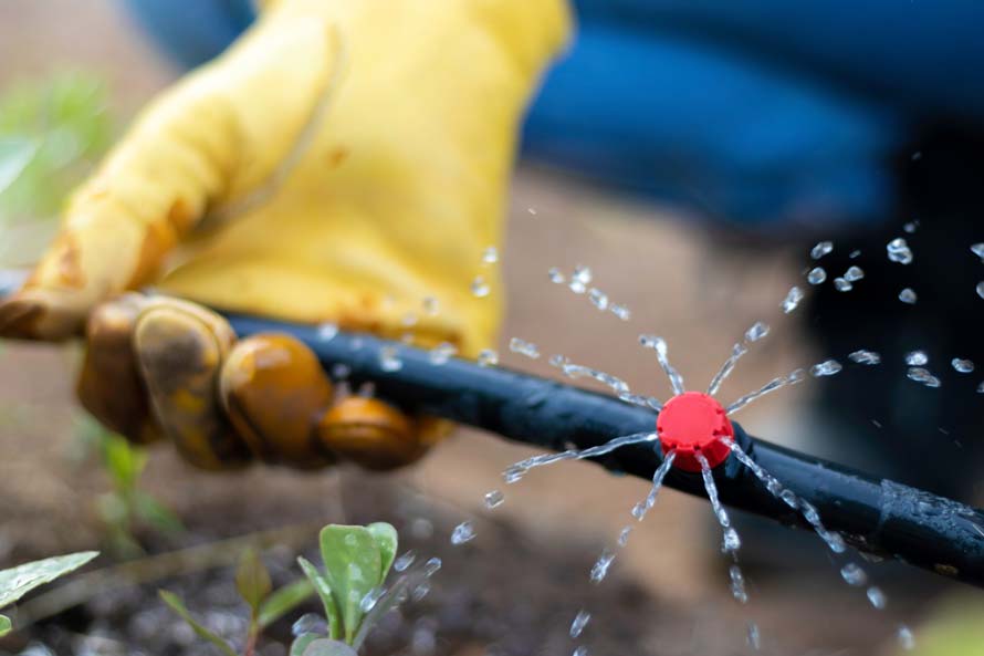 arrosage automatique goutte à goutte avec Mille et un jardins